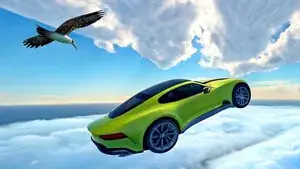 Fast and Wild in Sky