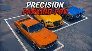 Precision Parking Pro