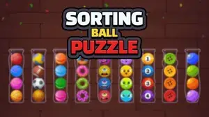 Sorting Ball Puzzle