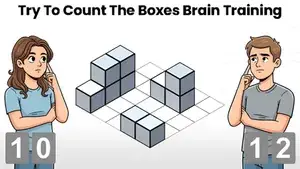 Try To Count The Boxes Brain Training